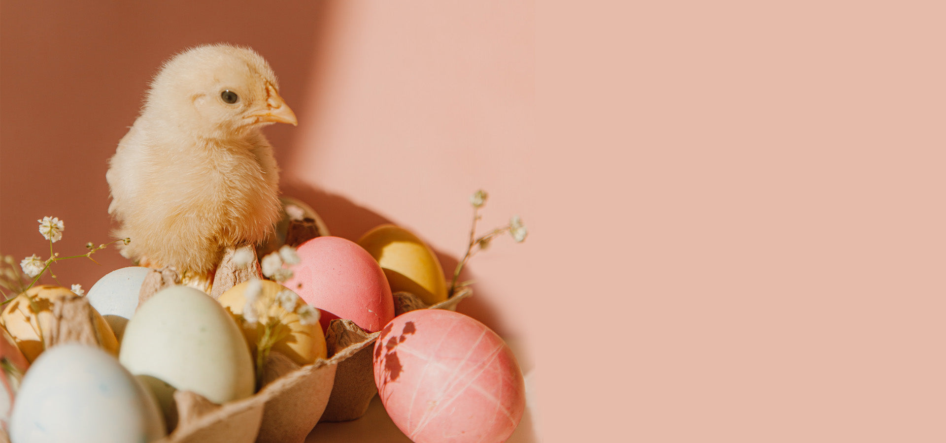 Zoek jij mee? Eerste en Tweede paasdag zijn kortingseieren verstopt in de webshop. Maar ook één gouden ei, lees snel meer >>